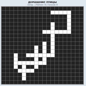 крос дом птицы.jpg